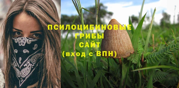 марки nbome Новодвинск