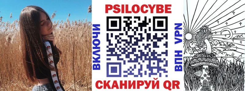 где купить наркотик  Топки  ОМГ ОМГ ONION  Галлюциногенные грибы Psilocybe 