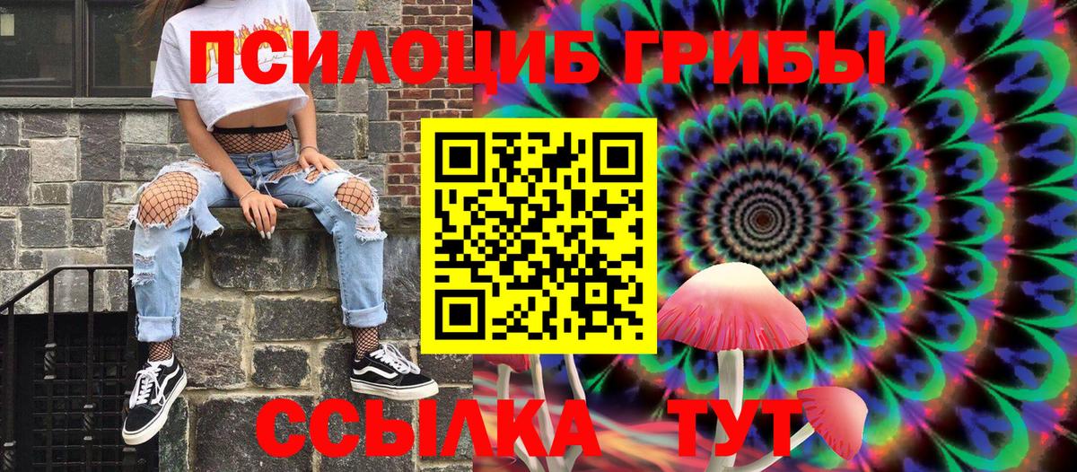 купить наркоту  Вход с VPN  Топки  Псилоцибиновые грибы MAGIC MUSHROOMS 