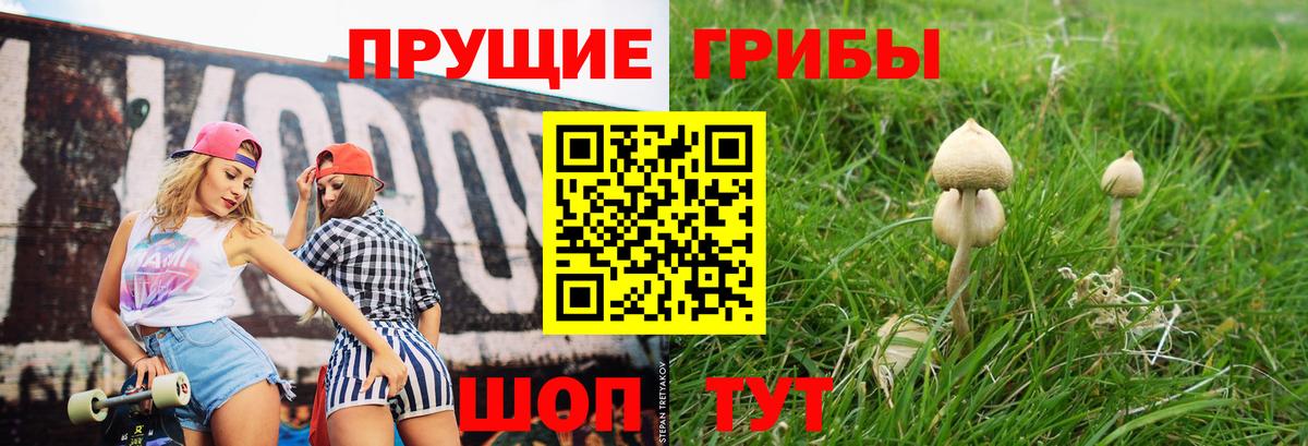 Галлюциногенные грибы GOLDEN TEACHER  Топки  наркошоп  Галлюциногенные грибы Cubensis 