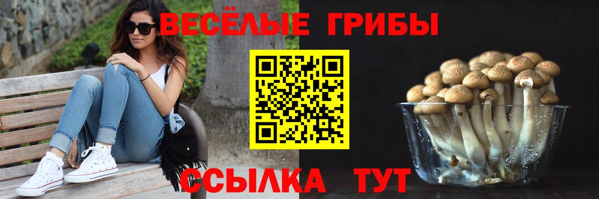 Галлюциногенные грибы MAGIC MUSHROOMS Топки